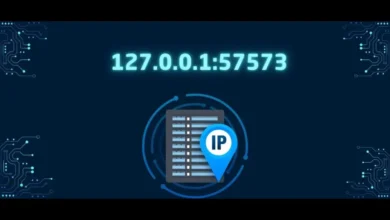 127.0.0.1:57573